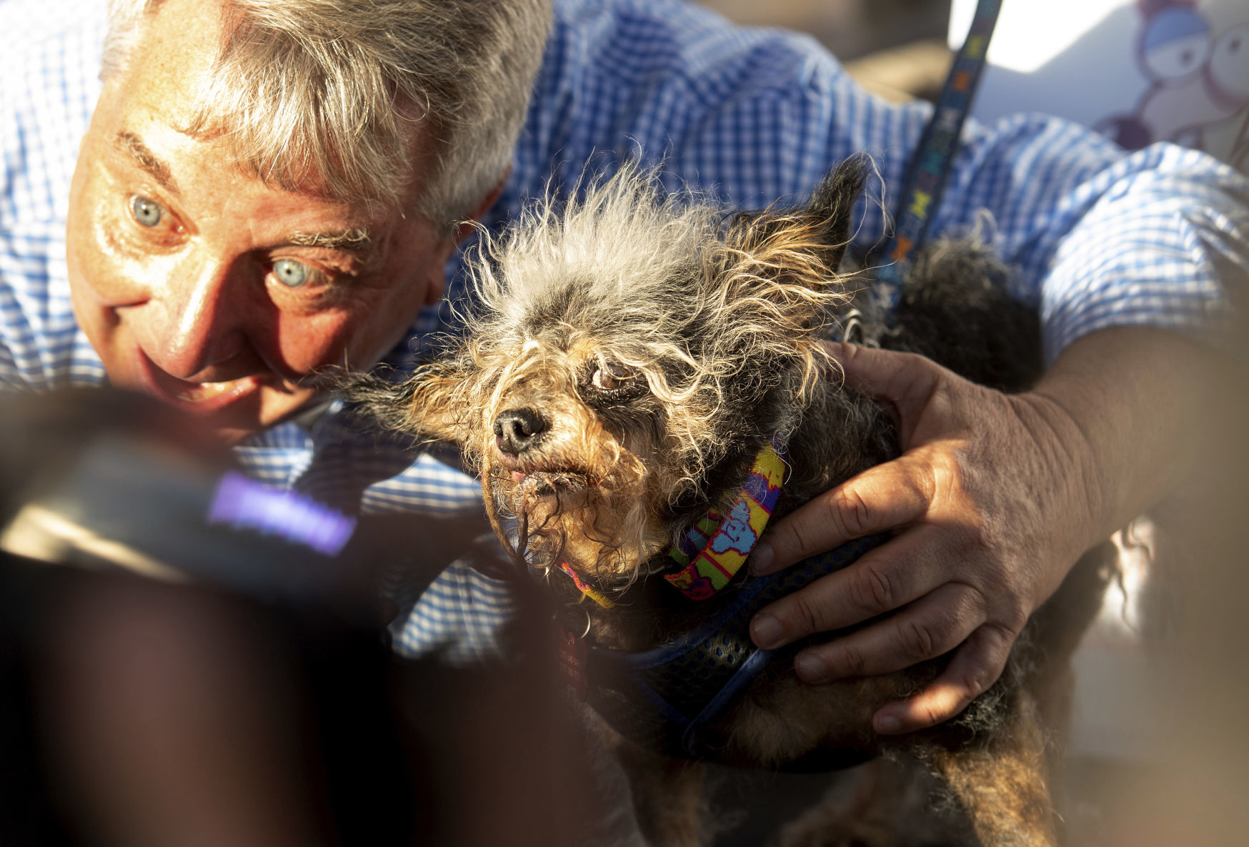 Worlds Ugliest Dog